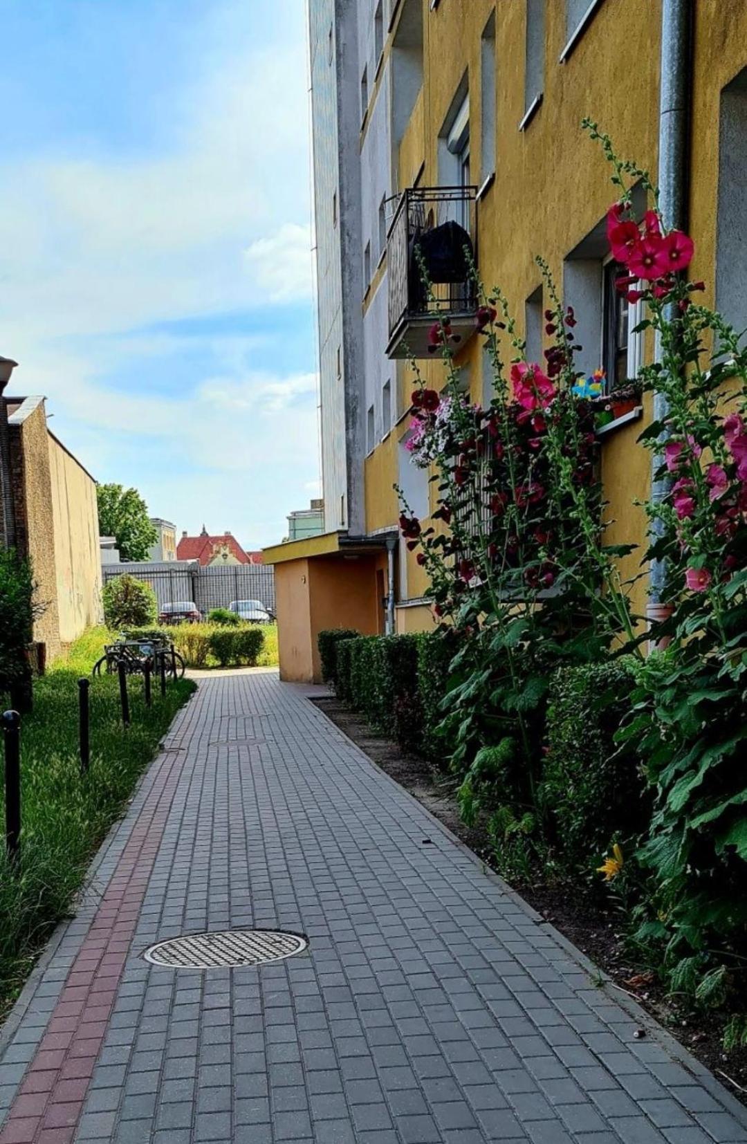 Apartament Przy Alei Kopernika Inowroclaw Esterno foto